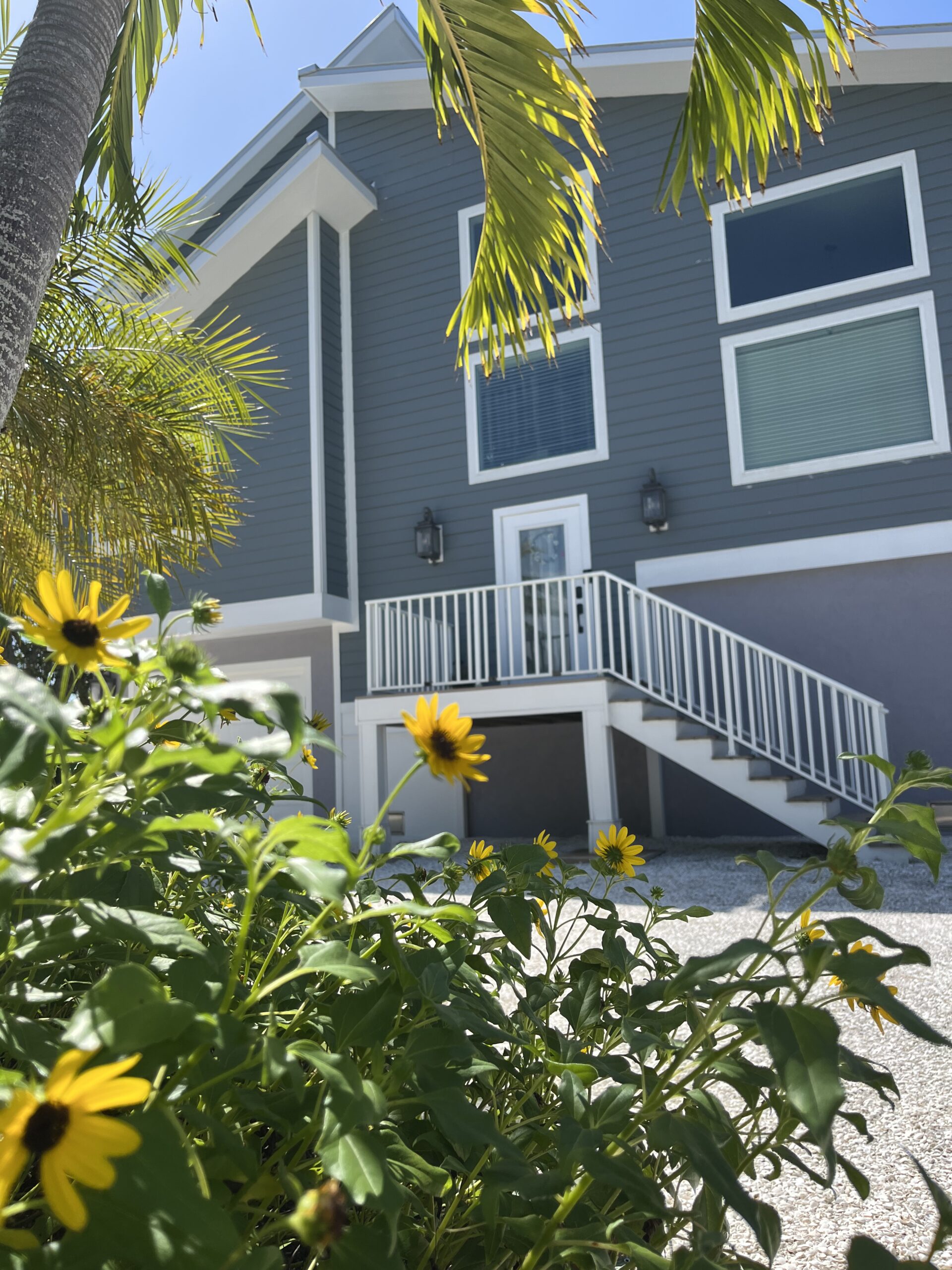 Aerial view of a small island with palm trees in the ocean